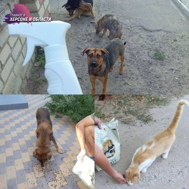 ������������� ������������� ����������� ����������� ������� ����������������� �����, ������������ �� ������ ��������� ��������