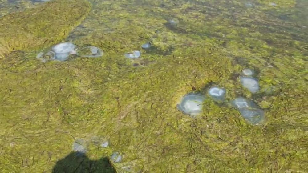 ������� �� ������ �������� � �������� ���� ?