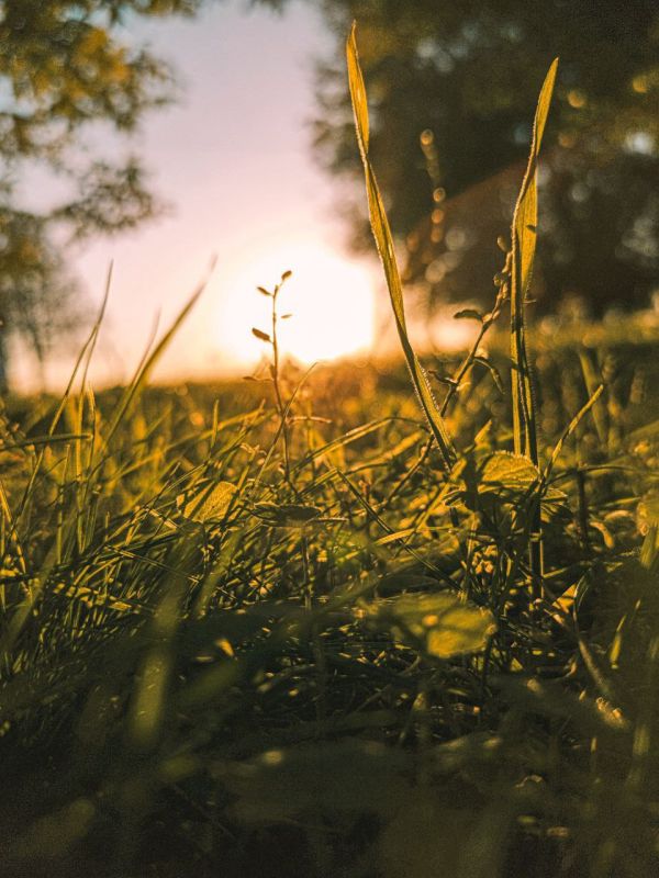 ����� ����������: ������ ����, ������!. ������ � ���� ����������� �������� �������������� ��������� ���������� ������. ���������� ���� ���������� � ��� �������� �����