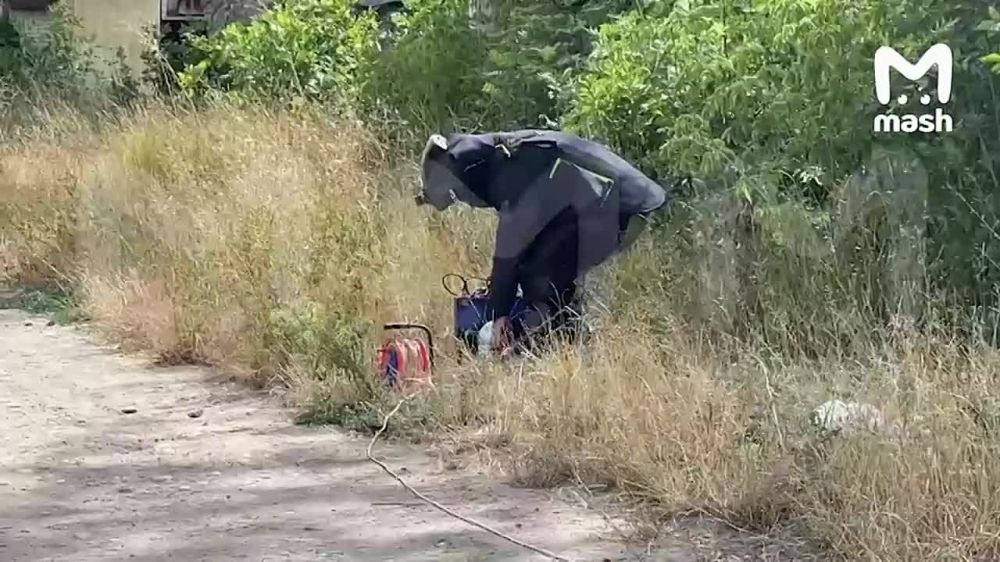 �������� ��������� ��������������, ������� ����� �������� ������ ����������� � ���������