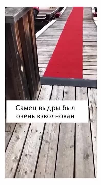 ����� ����� �����, ������� �� ������� �������!