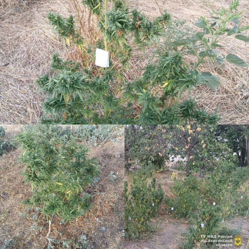 ������ ���� ��������� �������� ����� 40 ������ ������� � ������� ������ �� ���� ��� ������� �������