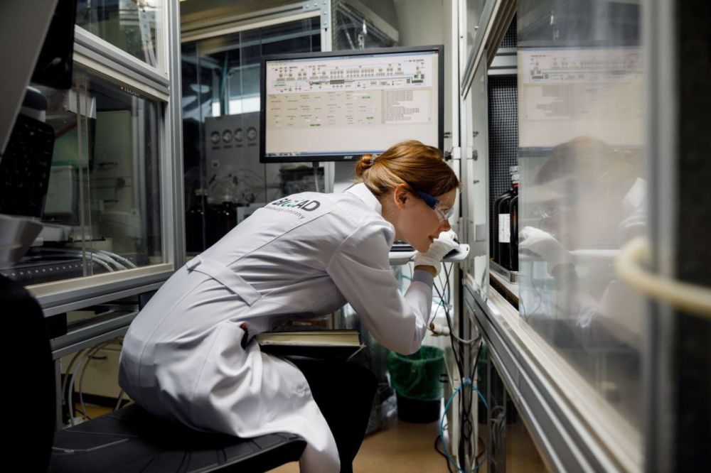 ���������� ������ ����������� ���������� ������������ ������������ ������ ��������� ������ ������� ���������