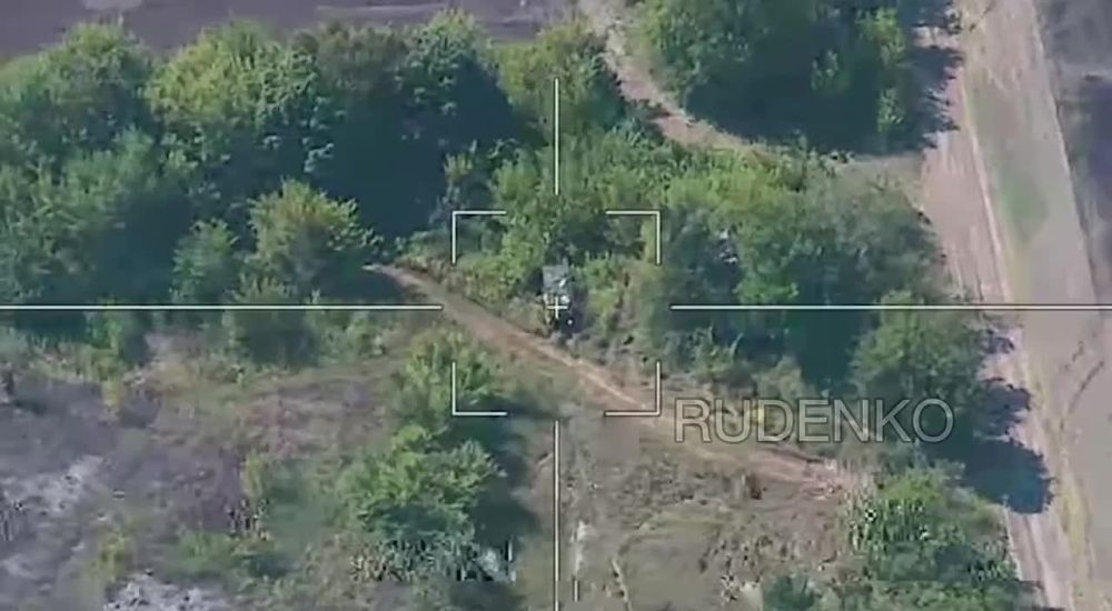 ��������� ������ ������������� ������ � �������� ���������� ���� ���������� ��������� � ������� �������