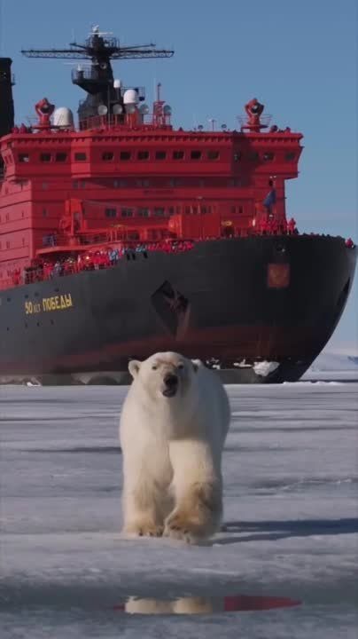 ������� ������ � �����!