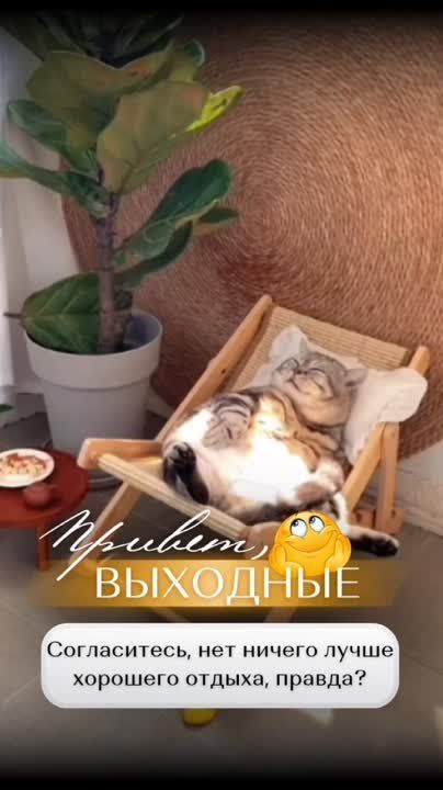 #��������