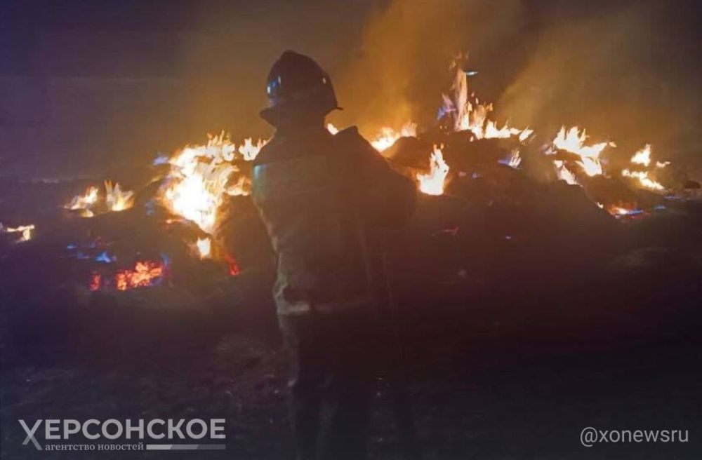 �������� �� ����� ������������� � ���������� ������� 11 ����������