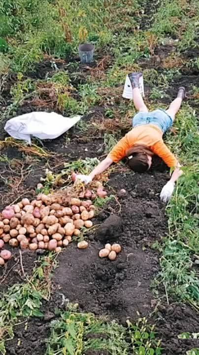 #����������_����. � ����������� ���� � ������ �����