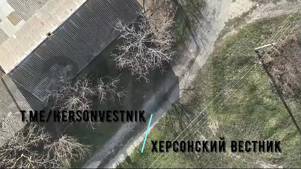 �������� �����.. ����� �� 49 ����� ������ ������ ����������� ���������������, ������� ������ �� ���������� ������� �� ���������� �����������