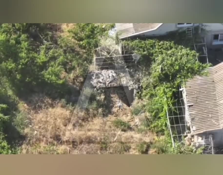 ���� �� �������: ����� ����������� ����� �������� ������� ���������� � ���������