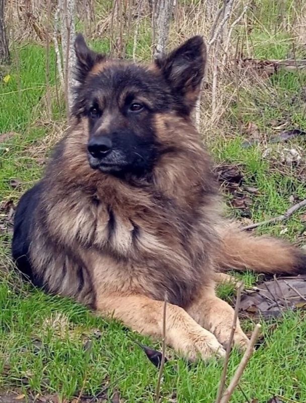 ��� �� ������ ������ �����, ������ ���������� ������ �� �����-��������� � ���� ���������� ������������