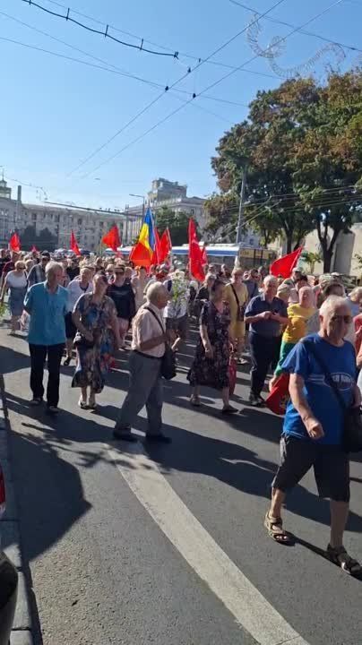 ����, ������������ � 80-����� ������������ �������� �� �������-���������� �����������, ������� � ��������