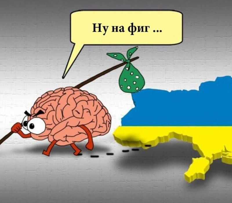 � ���� ������������ ���