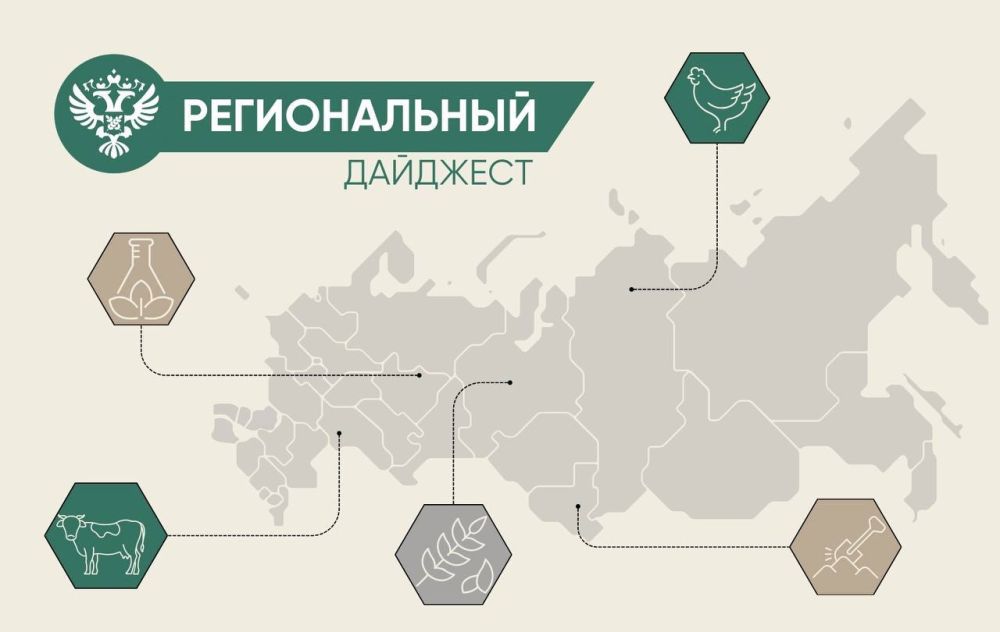 � ����� ���������� ������� ������������ � ������������ ����������������� � ��������