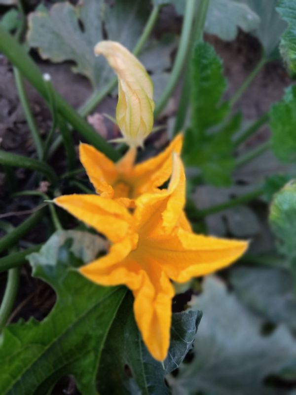 � ������ �����, �����������!