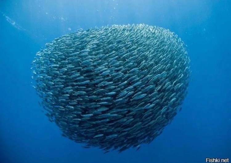 �� �������� ���� ������ ������? ���� ���, �� ���������, ��� 15 ��� ���������� ��� ������