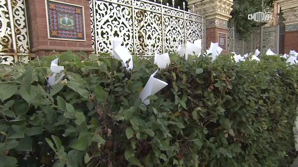 ����� ������ ������ 20 ��� ������ �� �������