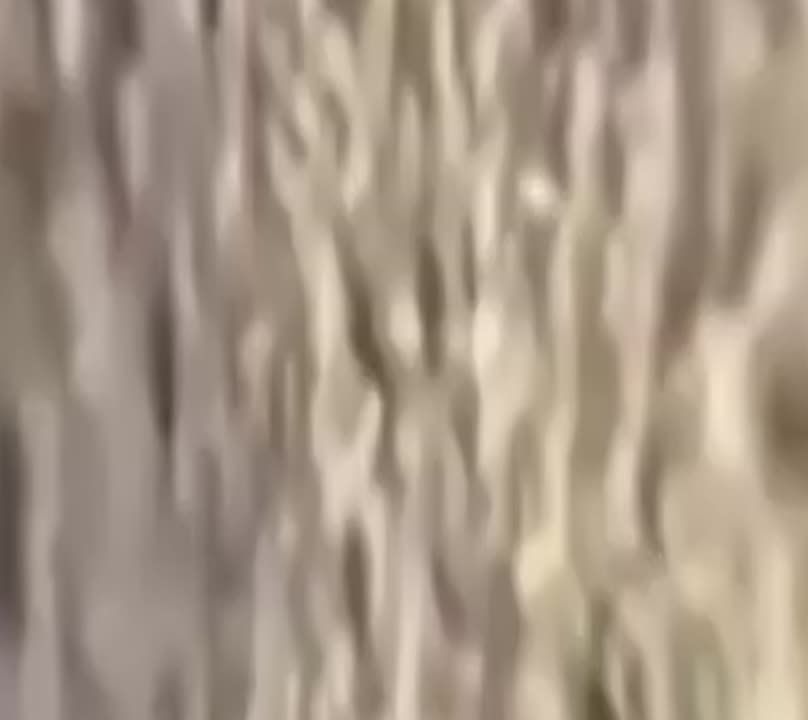 ���� �� �������: ������� ���������� �� ������ �����������