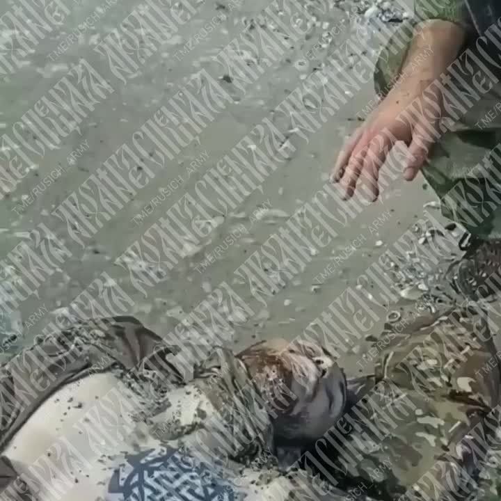 ���������� �����������