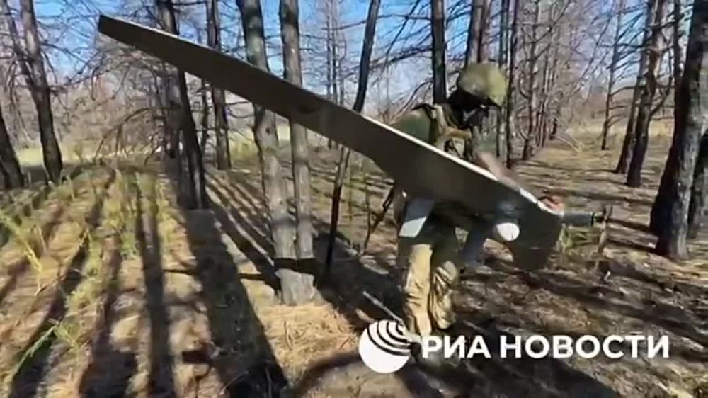 ���������� ����������� ����� "�����" ������������� ��������� ���������� � ������� ��� �� ����������� ����