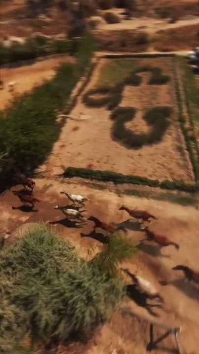 ����������, �������, �������������� - ������ ��� ���������!