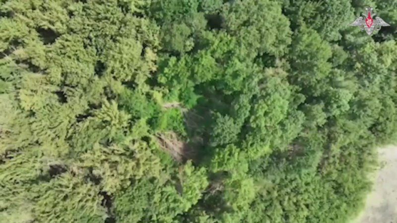 ������ � ���������� ��������� ���� �����������