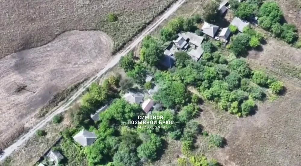 ������������� �����������