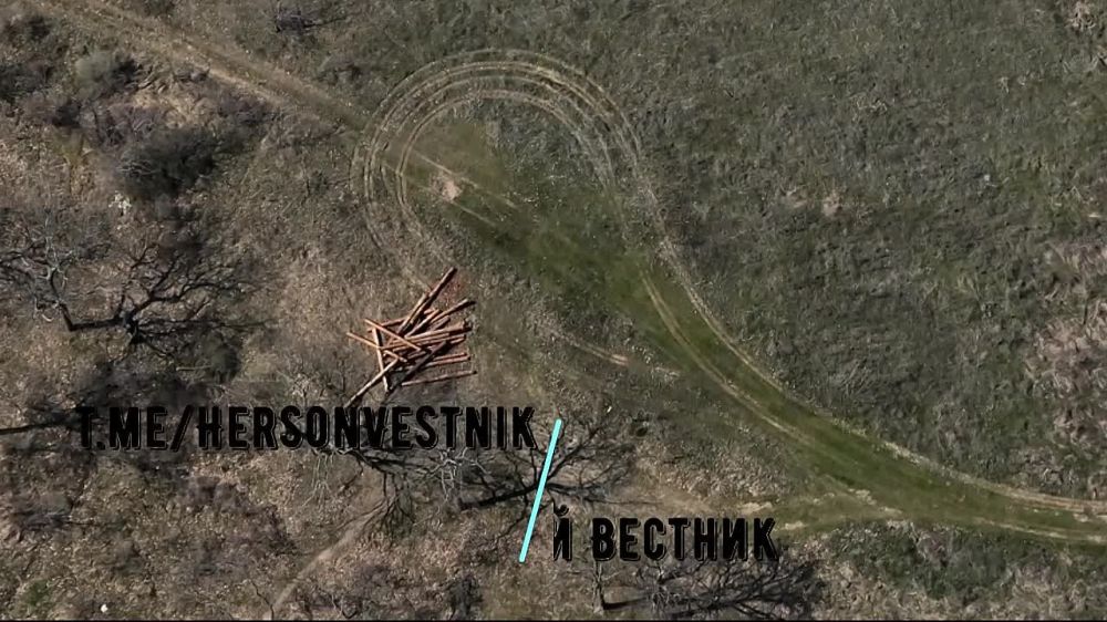 �����. �� ������ �� 49 ����� �� ����������, ���� ����� � ����