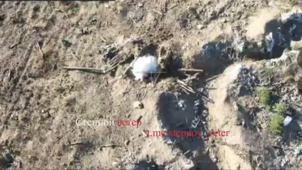 ���������� ���� ������ �� ����������