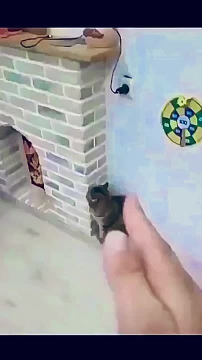 ��������� ����!. ��������-����� ���������� �������