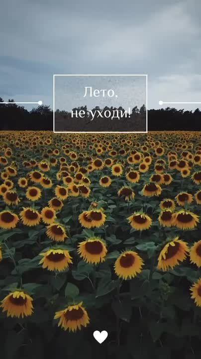 ����� ���� ����� ������������ ����� ������� ��� �������� ������������� � �������!