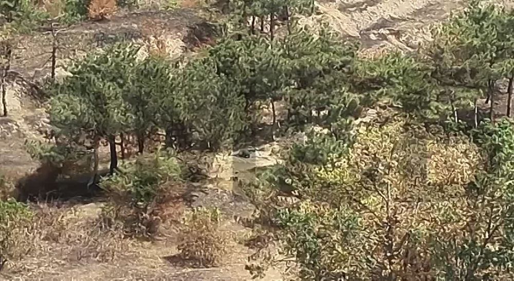 ���� �� �������: � ��� ��� ������� � �����-�� ������ ������, ��� ������ �������