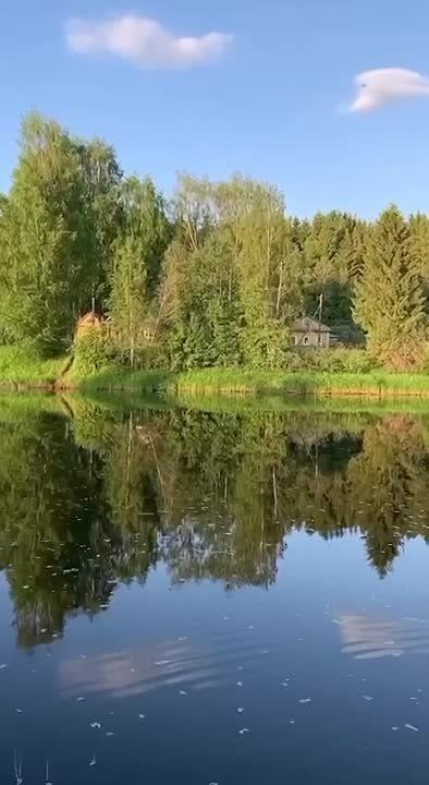 ������ �����, ������!. ������ ������� �� ��������� �������� � �����, � ��� ��� ����� "�����������". � ������? �� ���� ����...