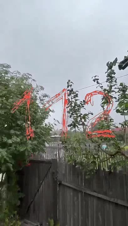 �� ������ ����������� "������������-����" ������ �����, �������� �������� 112