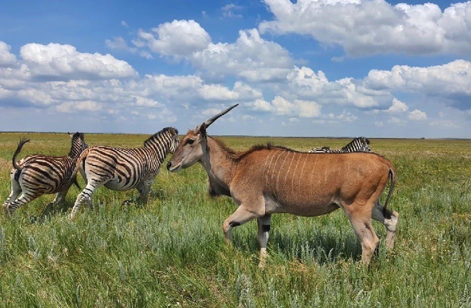 � ���������� ������� 10 ����� ������� �������� ���������� "�������-����" �� ����