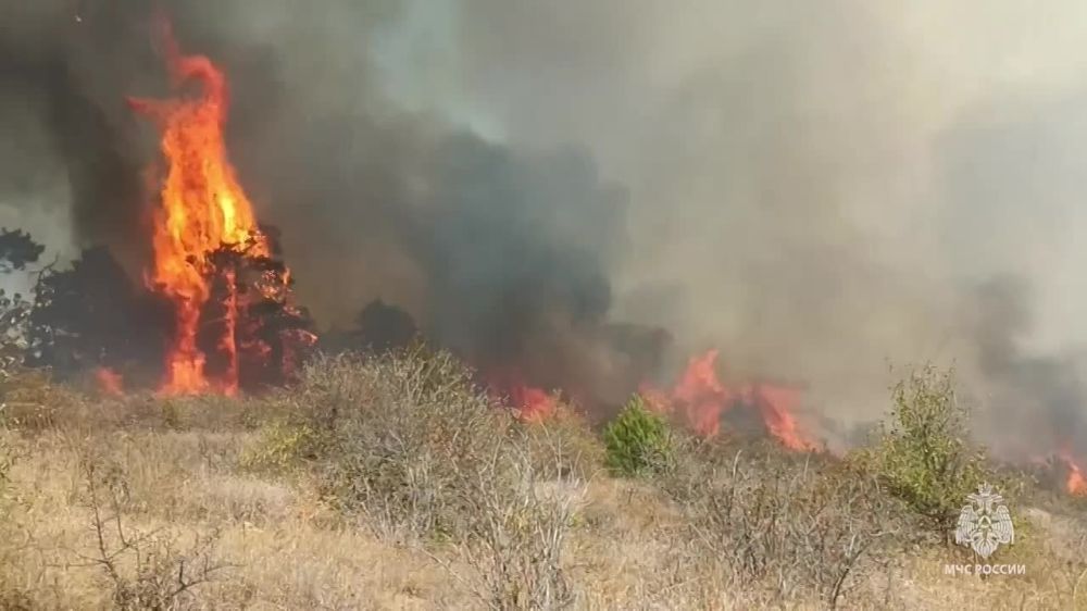 ������� ������ ��� ��������� ������� �� 150 ��