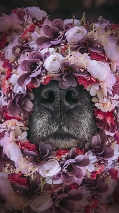 ������� � �������� ��� ������!