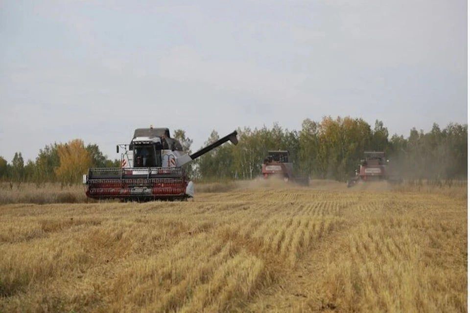 � ���������� ������� �������� ����� �� � ���������������� ���������