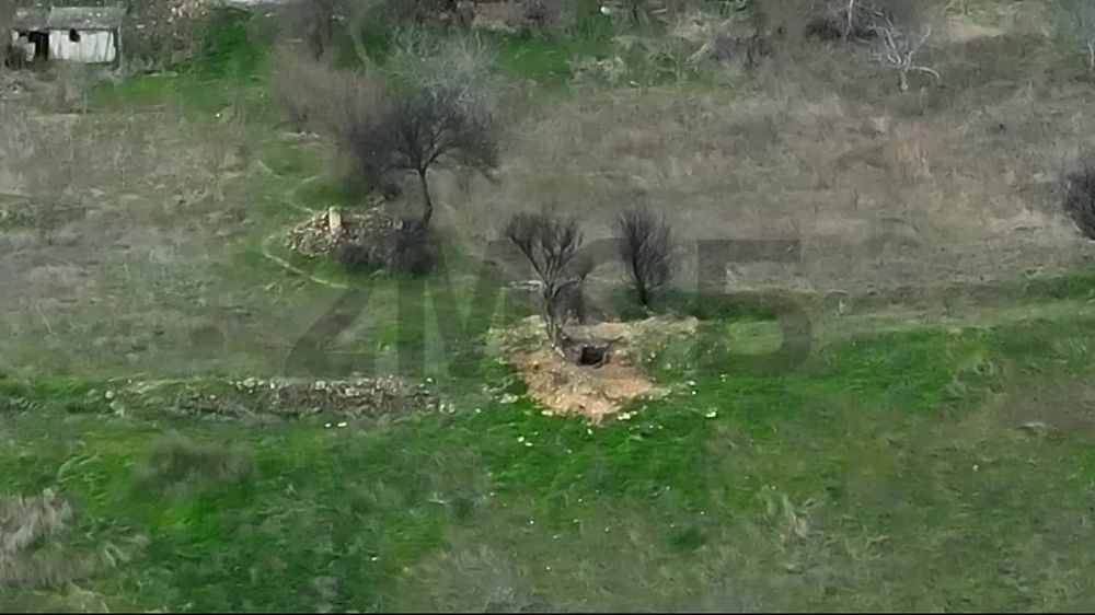 ����� �� 49 �����, ����� � ����