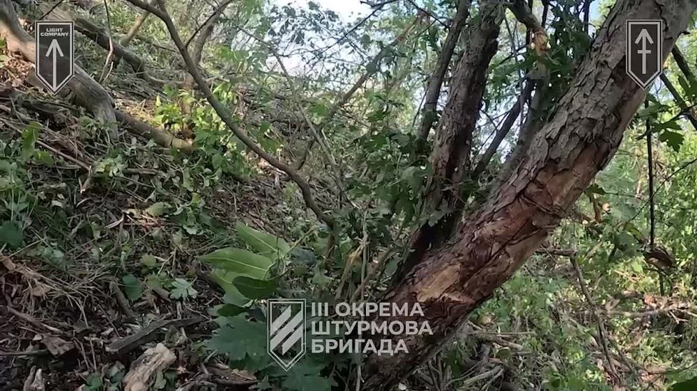 �������� ��������� �����, �� ������� ��������� ��������� ��-�� ������ �����������