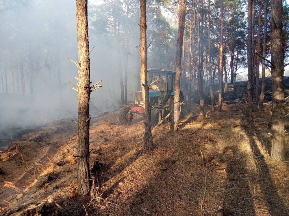 ���������� ���������������� ������� ���������� ����� �������� ������ � ������� ��������