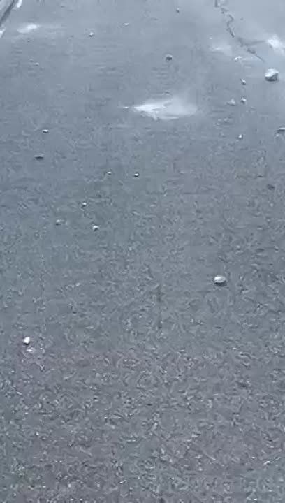 ����, ���� �� ����� �������������