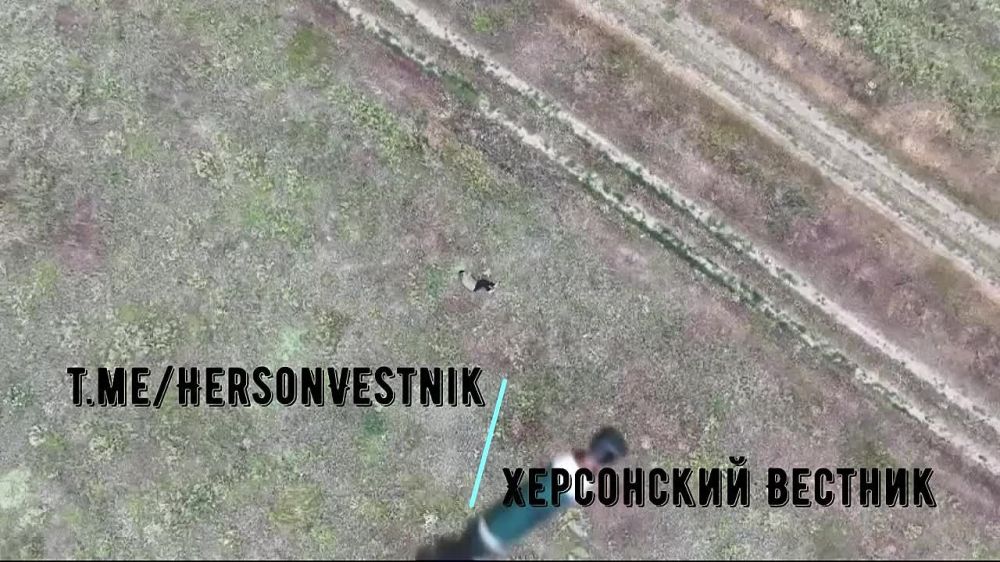 ���������� �����������. ����� �����, ��� ������ ������������ �������, �� �������� ����� �� 49 ����� ��������� �����, ��� �� ����� � ������ ��� ������