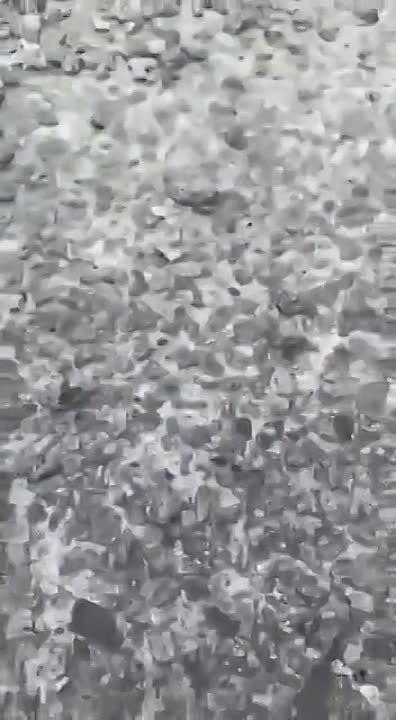 ���������, ������������ ���