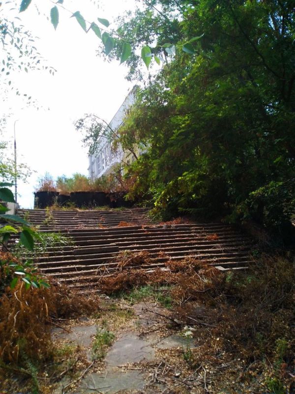 ������ ������� ������ �� ������?