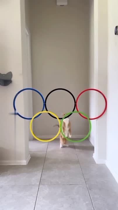 ��������� ����!. ��������-����� ���������� �������