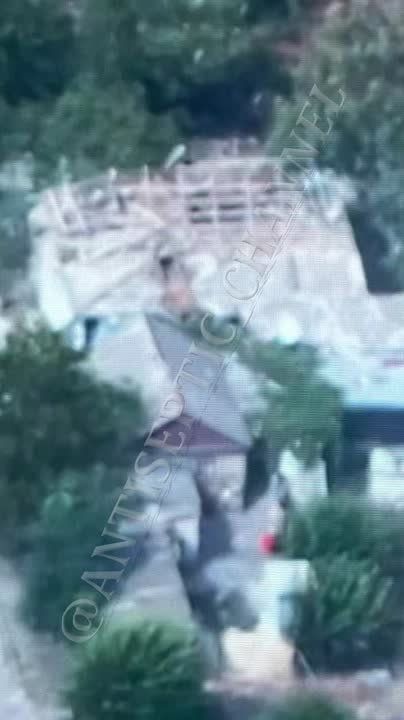 #���������. 24 ������� 2024 �