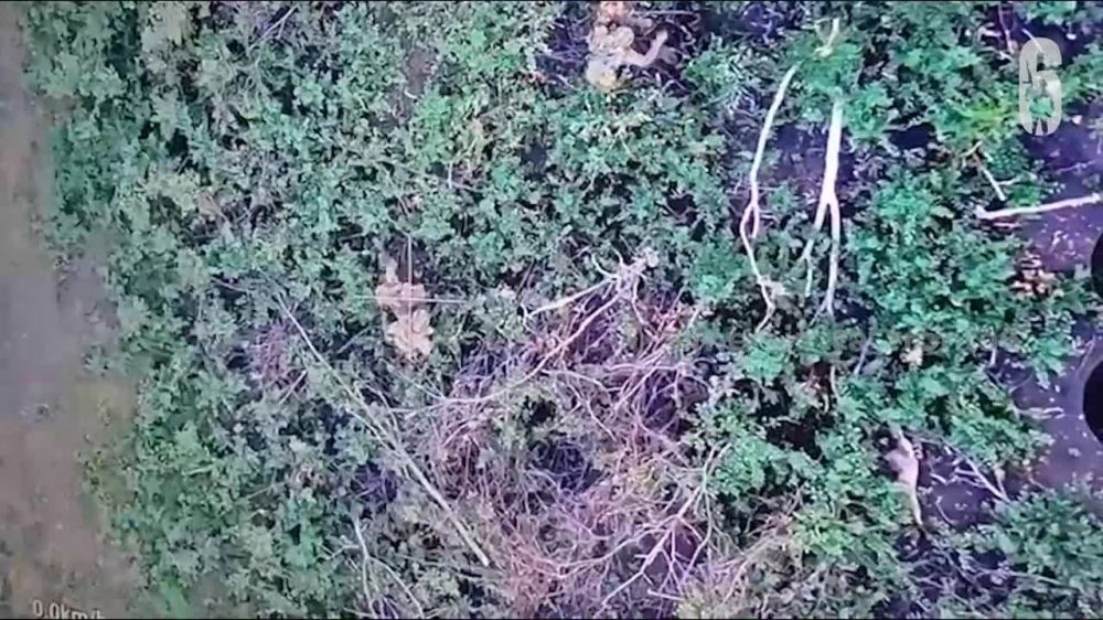 ���������� �������������� ������� ������ �������� ����������� �������, ��� ����� �������� ��� �����