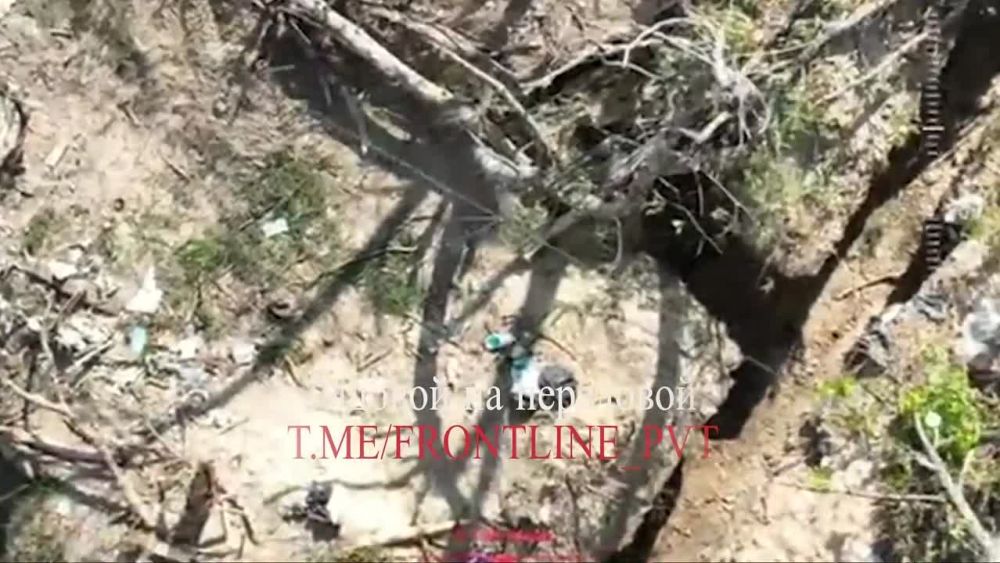 ��������� �����������. ����� ����������� ����� "��" ���������� ���