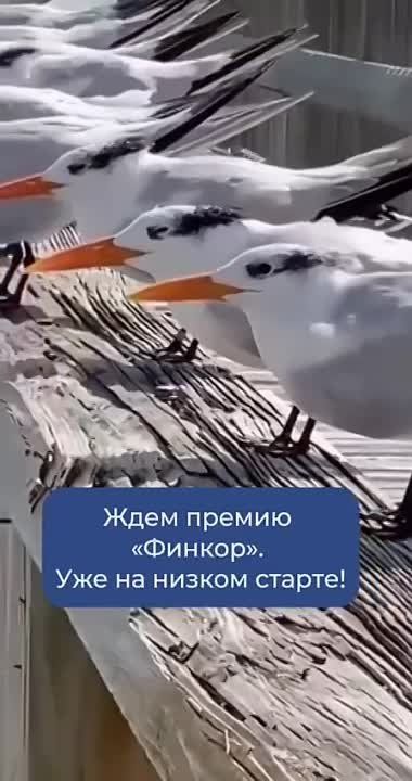 ���-��� �� ����� ������ ������ �������� ������ 20 ����!